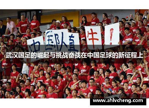 武汉国足的崛起与挑战奋战在中国足球的新征程上